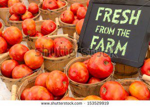 Photo of farm fresh tomatoes