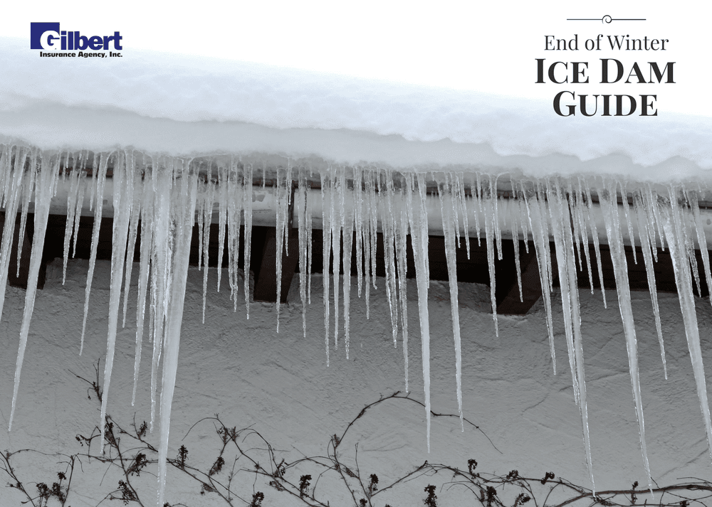 Photo of Gilbert Insurance Agency Ice Dam Guide