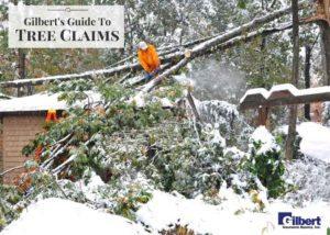 Photo of Gilberts Guide to Tree Claims