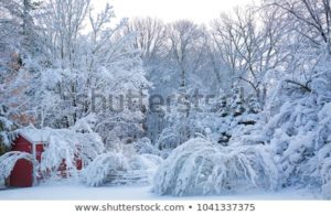 Photo of snow covered trees and barn with watermark