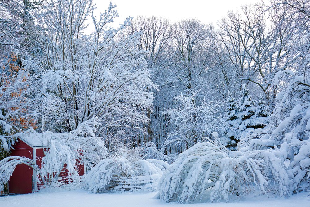 Photo of snow covered trees and barn