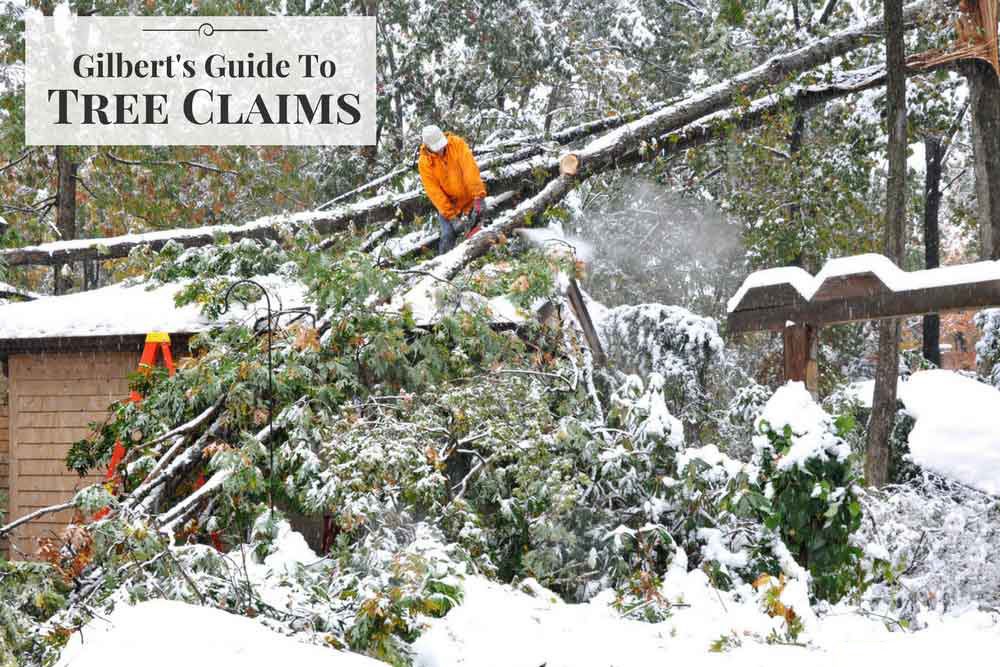 Photo of Gilberts Guide to Tree Claims