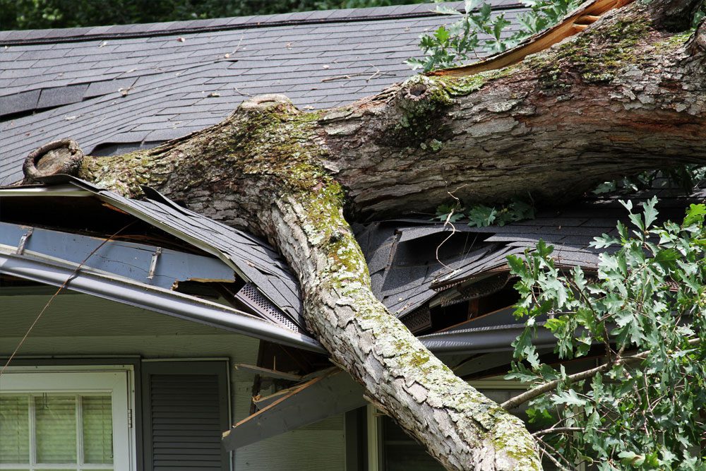 Photo of torando damage on a home, a tree has fallen on a roof